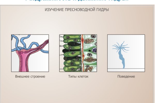 Кракен оф сайт