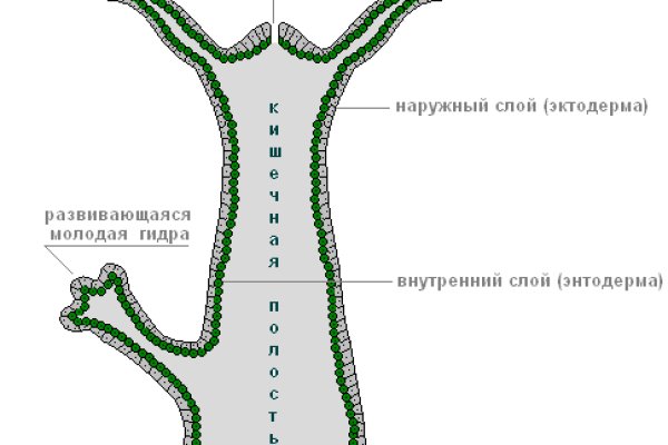 Ссылка кракен vtor run