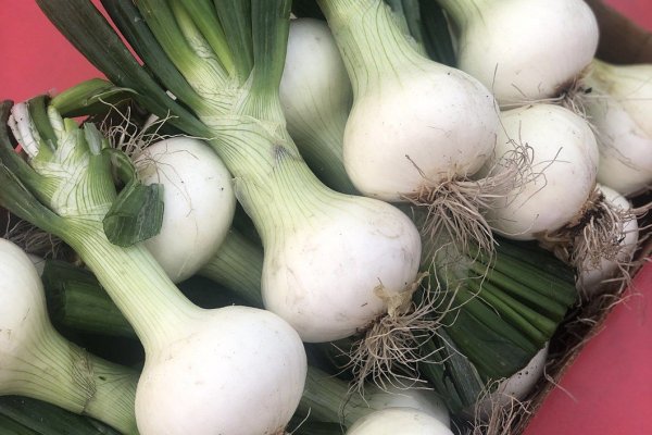 Kraken onion зеркало